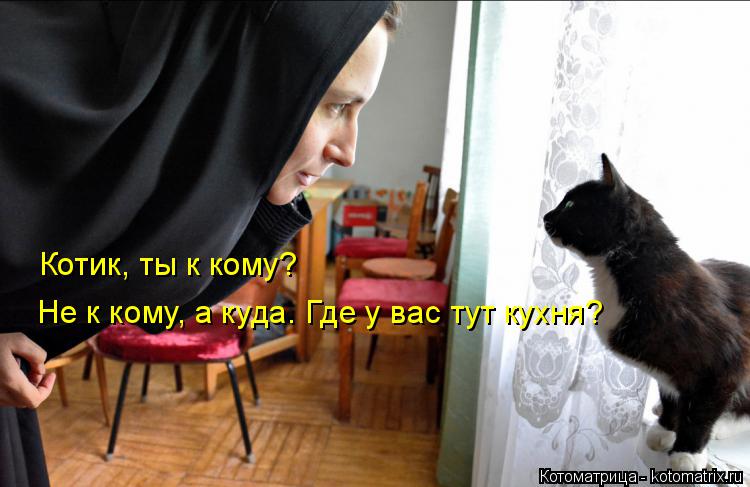 Котик, ты к кому? Не к кому, а куда. Где у вас тут кухня?... Котоматрица: Котик, ты к кому? Не к кому, а куда. Где у вас тут кухня?