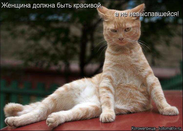 Котоматрица: Женщина должна быть красивой, а не невыспавшейся!