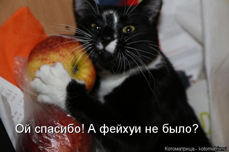 Котоматрица: Ой спасибо! А фейхуи не было?
