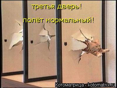 Котоматрица: третья дверь!  полёт нормальный!