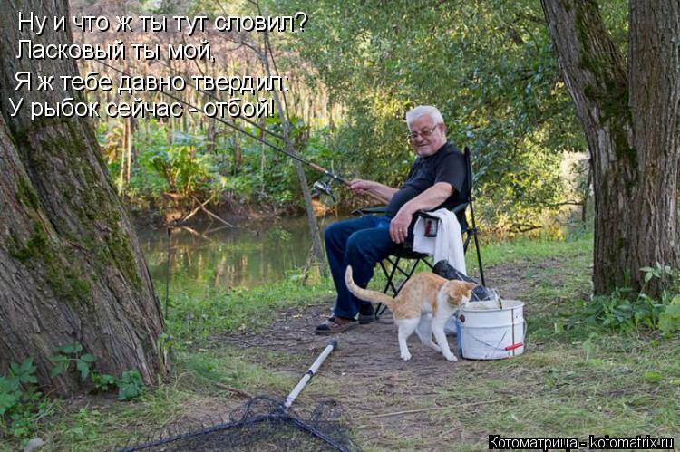 Котоматрица: Ну и что ж ты тут словил? Ласковый ты мой, Я ж тебе давно твердил: У рыбок сейчас - отбой!