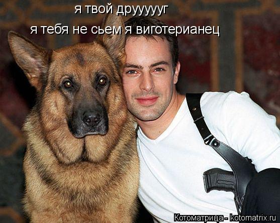 Котоматрица: я твой друууууг я тебя не сьем я виготерианец