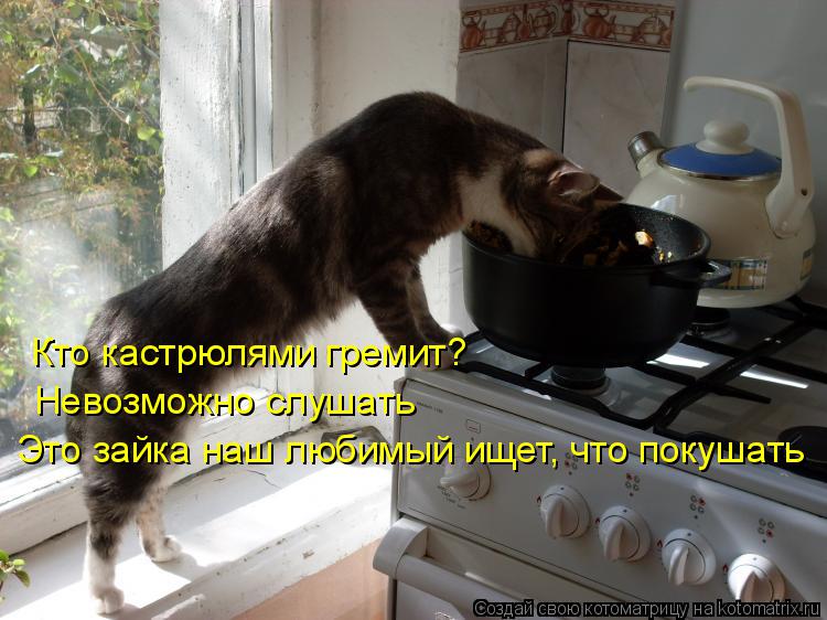 Кто кастрюлями гремит? Невозможно слушать Это зайка наш любимый ищет, что покушать... Котоматрица: Кто кастрюлями гремит? Невозможно слушать Это зайка наш любимый ищет, что покушать