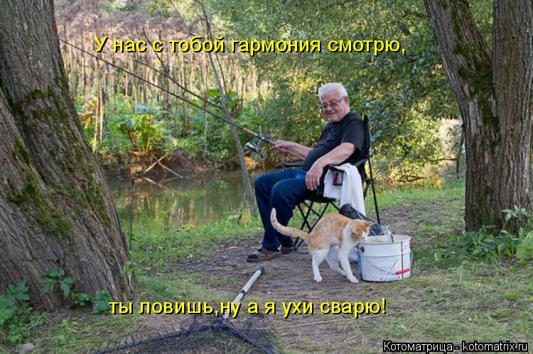 Котоматрица: У нас с тобой гармония смотрю, ты ловишь,ну а я ухи сварю!