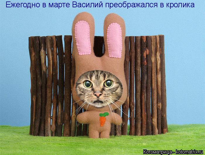 Ежегодно в марте Василий преображался в кролика... Котоматрица: Ежегодно в марте Василий преображался в кролика
