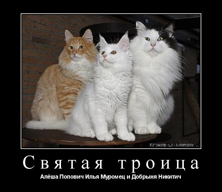 Святая троица Алёша Попович Илья Муромец и Добрыня Никитич... Котоматрица: Святая троица Алёша Попович Илья Муромец и Добрыня Никитич