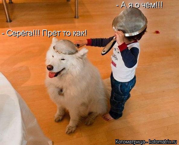 Котоматрица: - Серёга!!! Прёт то как! - А я о чём!!!