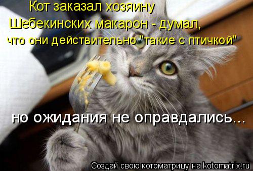 Котоматрица: Кот заказал хозяину  Шебекинских макарон - думал,  что они действительно "такие с птичкой" но ожидания не оправдались...
