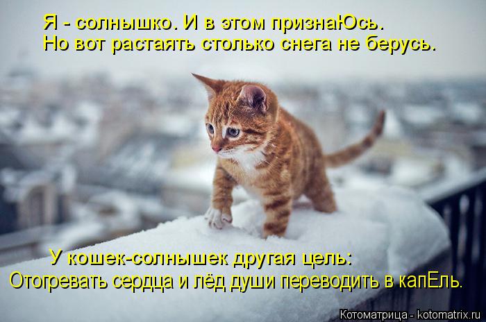 Я - солнышко. И в этом признаЮсь. Но вот растаять столько снега не берусь. У кошек-солнышек другая це... Котоматрица: Я - солнышко. И в этом признаЮсь. Но вот растаять столько снега не берусь. У кошек-солнышек другая цель: Отогревать сердца и лёд души переводи