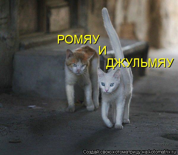 И РОМЯУ ДЖУЛЬМЯУ... Котоматрица: И РОМЯУ ДЖУЛЬМЯУ