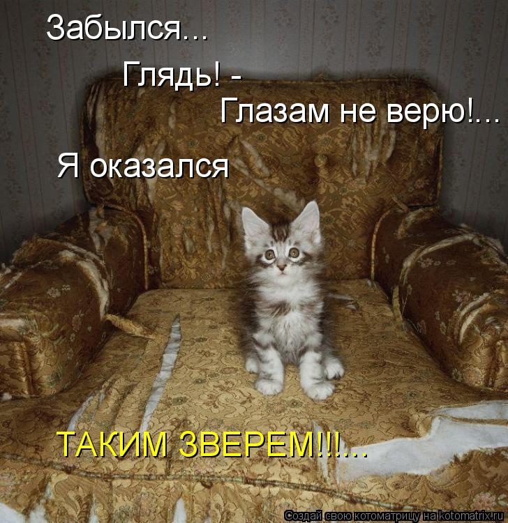 Котоматрица: Забылся...  Глазам не верю!... Я оказался ТАКИМ ЗВЕРЕМ!!!... Глядь! -