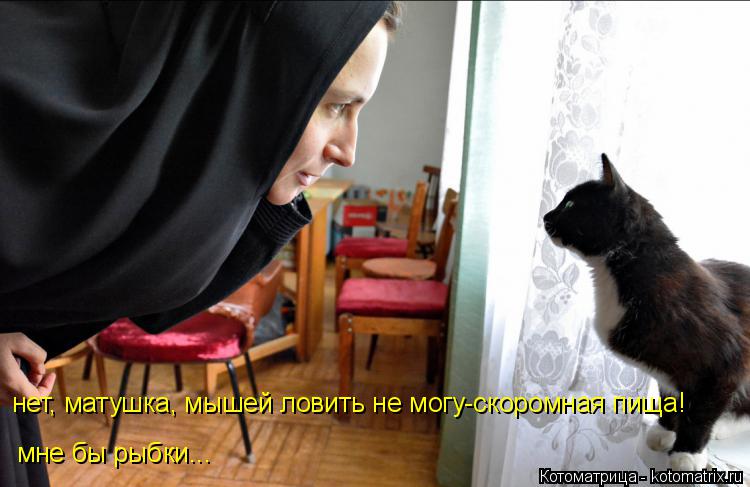 нет, матушка, мышей ловить не могу-скоромная пища! мне бы рыбки...... Котоматрица: нет, матушка, мышей ловить не могу-скоромная пища! мне бы рыбки...
