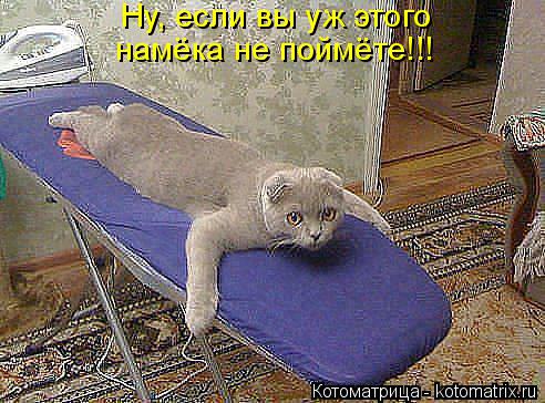 Котоматрица: Ну, если вы уж этого  намёка не поймёте!!!