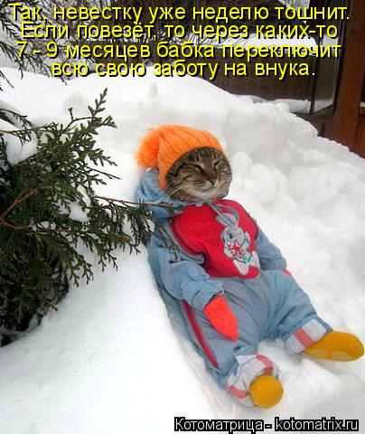 Котоматрица: Так, невестку уже неделю тошнит. Если повезёт, то через каких-то 7 - 9 месяцев бабка переключит всю свою заботу на внука.