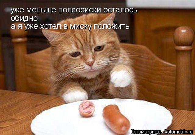 уже меньше полсосиски осталось обидно а я уже хотел в миску положить... Котоматрица: уже меньше полсосиски осталось обидно а я уже хотел в миску положить