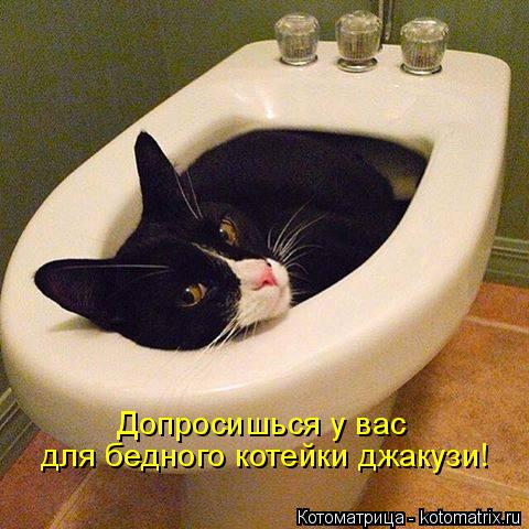 Котоматрица: Допросишься у вас  для бедного котейки джакузи!
