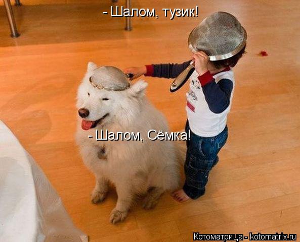 - Шалом, тузик! - Шалом, Сёмка!... Котоматрица: - Шалом, тузик! - Шалом, Сёмка!