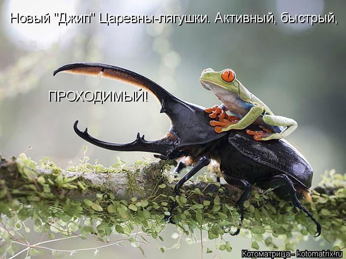 Новый "Джип" Царевны-лягушки. Активный, быстрый, ПРОХОДИМЫЙ!... Котоматрица: Новый "Джип" Царевны-лягушки. Активный, быстрый, ПРОХОДИМЫЙ!