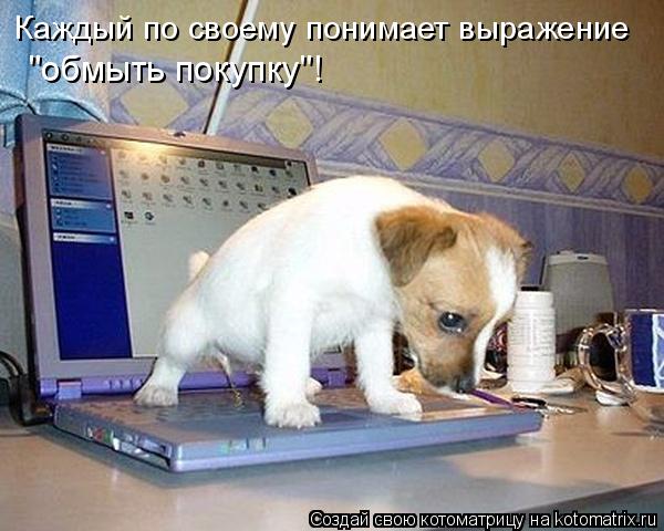 Каждый по своему понимает выражение "обмыть покупку"!... Котоматрица: Каждый по своему понимает выражение "обмыть покупку"!