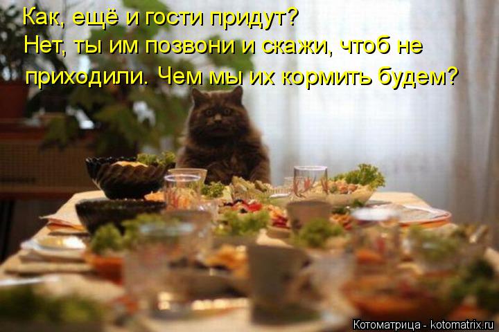 Как, ещё и гости придут? Нет, ты им позвони и скажи, чтоб не приходили. Чем мы их кормить будем?... Котоматрица: Как, ещё и гости придут? Нет, ты им позвони и скажи, чтоб не приходили. Чем мы их кормить будем?