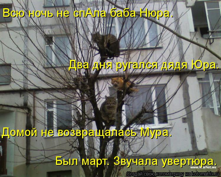 Котоматрица: Всю ночь не спАла баба Нюра. Два дня ругался дядя Юра. Домой не возвращалась Мура. Был март. Звучала увертюра.