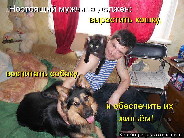 Ностоящий мужчина должен: вырастить кошку, воспитать собаку, и обеспечить их жильём!... Котоматрица: Ностоящий мужчина должен: вырастить кошку, воспитать собаку, и обеспечить их жильём!