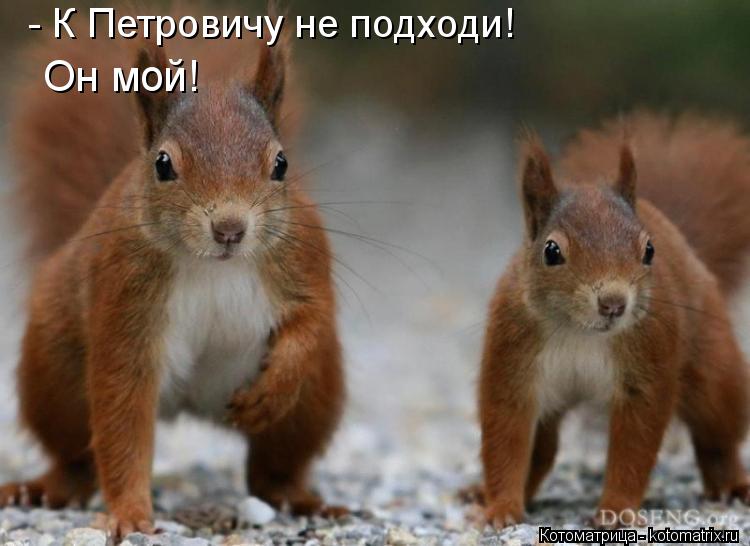 Котоматрица: - К Петровичу не подходи! Он мой!