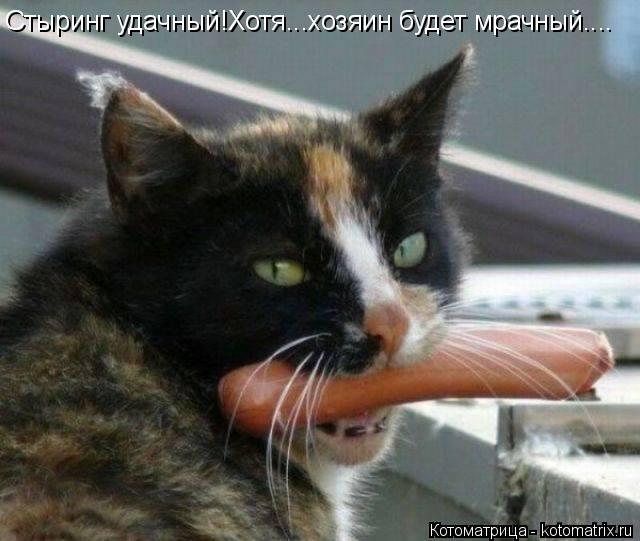 Котоматрица: Стыринг удачный!Хотя...хозяин будет мрачный....