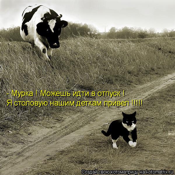 Котоматрица: - Мурка ! Можешь идти в отпуск ! Я столовую нашим деткам привел !!!!!
