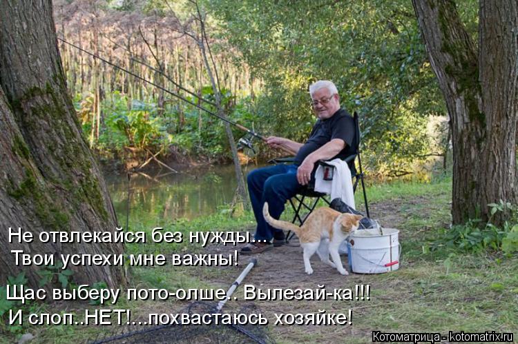 Не отвлекайся без нужды... Твои успехи мне важны! Щас выберу пото-олше.. Вылезай-ка!!! И слоп..НЕТ!..... Котоматрица: Не отвлекайся без нужды... Твои успехи мне важны! Щас выберу пото-олше.. Вылезай-ка!!! И слоп..НЕТ!...похвастаюсь хозяйке!