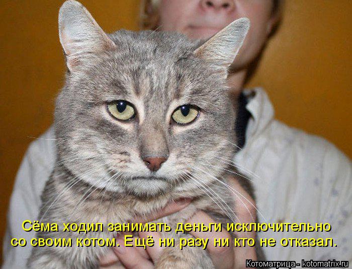 Сёма ходил занимать деньги исключительно со своим котом. Ещё ни разу ни кто не отказал.... Котоматрица: Сёма ходил занимать деньги исключительно со своим котом. Ещё ни разу ни кто не отказал.