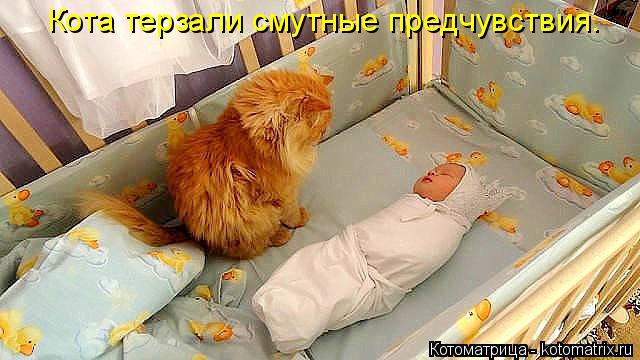 Котоматрица: Кота терзали смутные предчувствия.