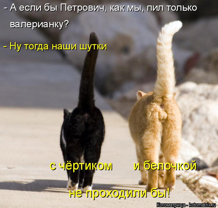 - А если бы Петрович, как мы, пил только валерианку? - Ну тогда наши шутки не проходили бы! с чёртико... Котоматрица: - А если бы Петрович, как мы, пил только валерианку? - Ну тогда наши шутки не проходили бы! с чёртиком и белочкой