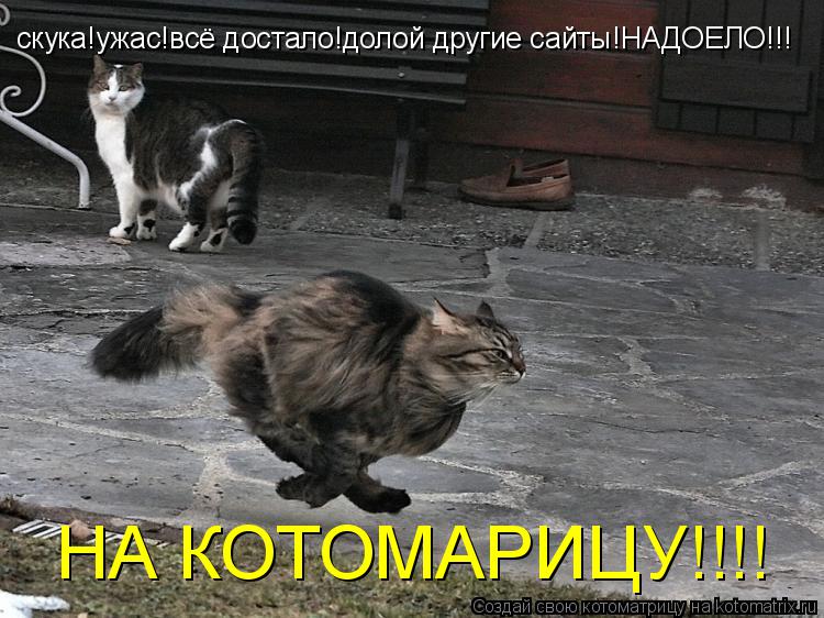 скука!ужас!всё достало!долой другие сайты!НАДОЕЛО!!! НА КОТОМАРИЦУ!!!!... Котоматрица: скука!ужас!всё достало!долой другие сайты!НАДОЕЛО!!! НА КОТОМАРИЦУ!!!!