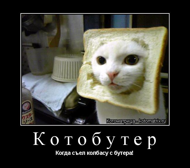 Котобутер Когда съел колбасу с бутера!... Котоматрица: Котобутер Когда съел колбасу с бутера!