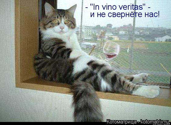 Котоматрица: - "In vino veritas" - и не свернёте нас!