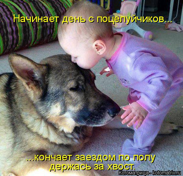 Котоматрица: Начинает день с поцелуйчиков... ...кончает заездом по полу держась за хвост.