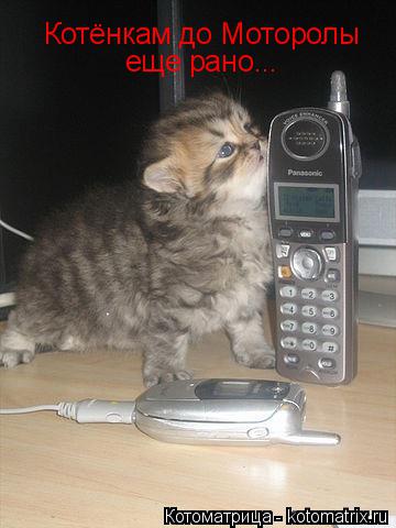 Котоматрица: Котёнкам до Моторолы  еще рано...