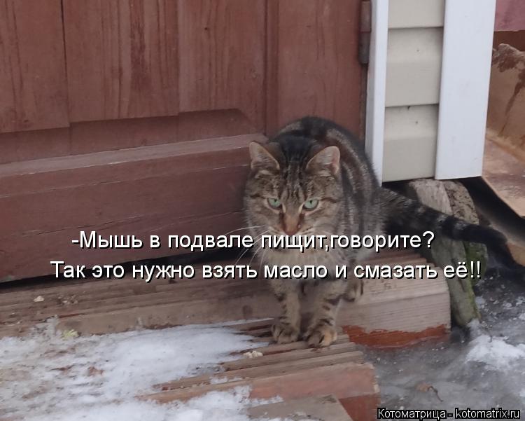 Котоматрица: -Мышь в подвале пищит,говорите? Так это нужно взять масло и смазать её!!