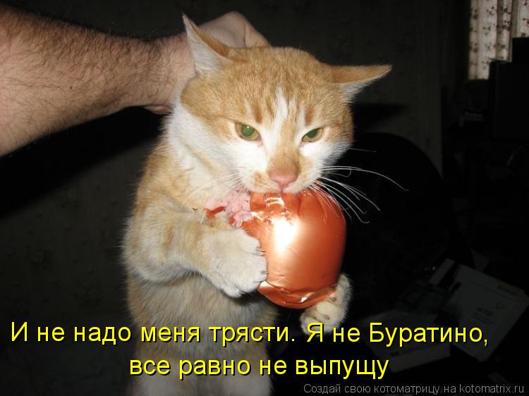 И не надо меня трясти. Я не Буратино, все равно не выпущу... Котоматрица: И не надо меня трясти. Я не Буратино, все равно не выпущу