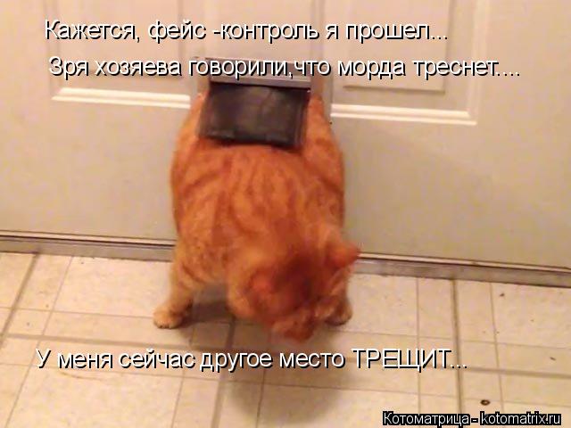 Котоматрица: Кажется, фейс -контроль я прошел... Зря хозяева говорили,что морда треснет.... У меня сейчас другое место ТРЕЩИТ...