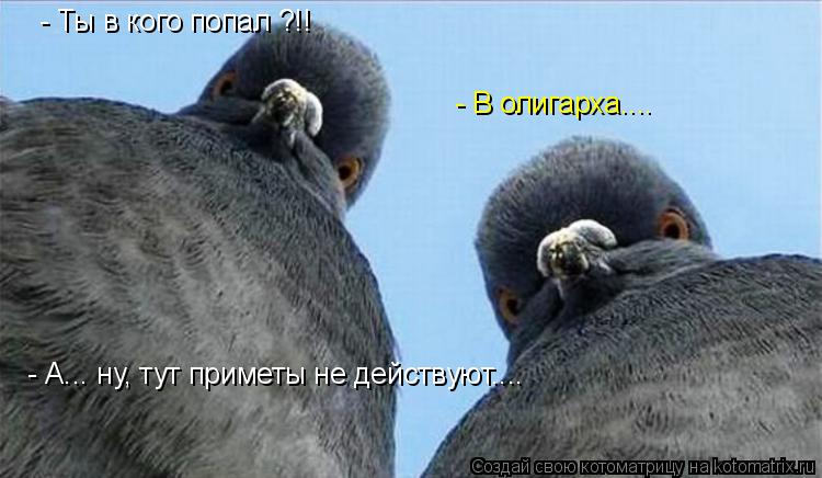 Котоматрица: - Ты в кого попал ?!! - В олигарха.... - А... ну, тут приметы не действуют....