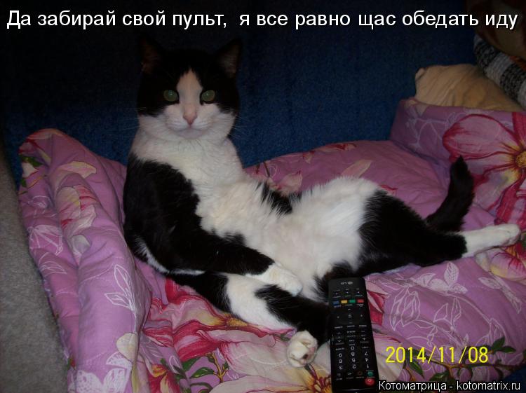 Котоматрица: Да забирай свой пульт,  я все равно щас обедать иду