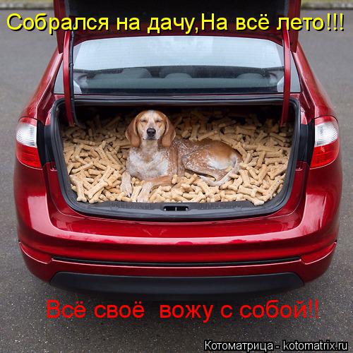 Котоматрица: Собрался на дачу,На всё лето!!! Всё своё  вожу с собой!!
