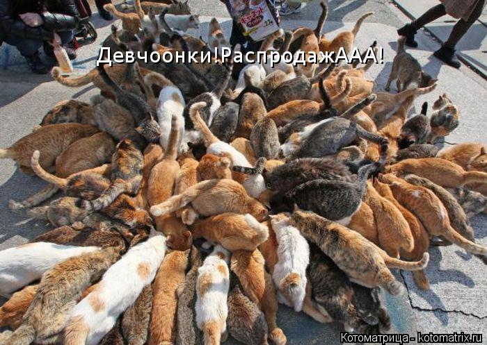 Котоматрица: Девчоонки!РаспродажААА!