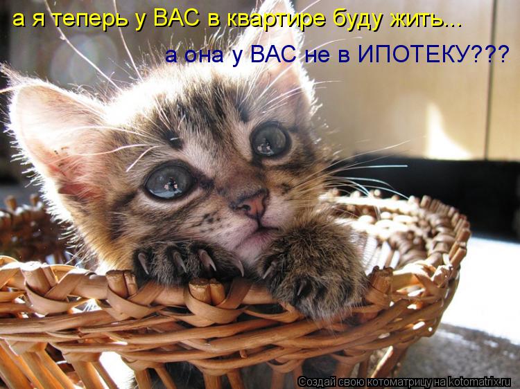 а я теперь у ВАС в квартире буду жить... а она у ВАС не в ИПОТЕКУ???... Котоматрица: а я теперь у ВАС в квартире буду жить... а она у ВАС не в ИПОТЕКУ???