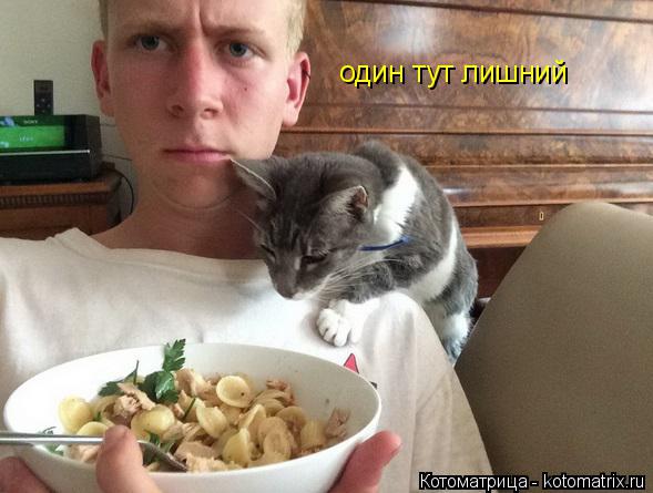 Котоматрица: один тут лишний