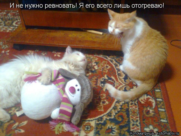 Котоматрица: И не нужно ревновать! Я его всего лишь отогреваю!
