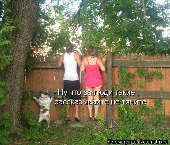 - Ну что за люди такие , рассказывайте не тяните... Котоматрица: - Ну что за люди такие , рассказывайте не тяните