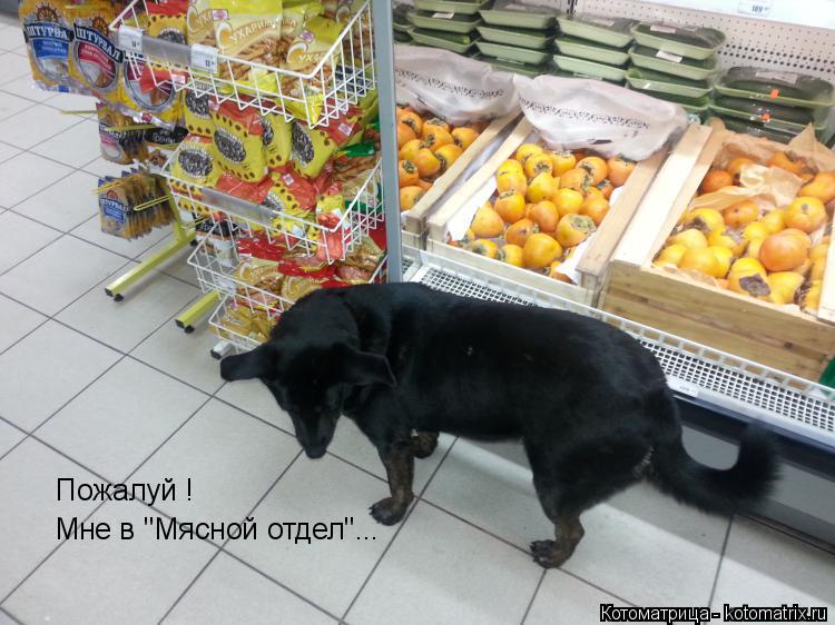 Пожалуй ! Мне в "Мясной отдел"...... Котоматрица: Пожалуй ! Мне в "Мясной отдел"...